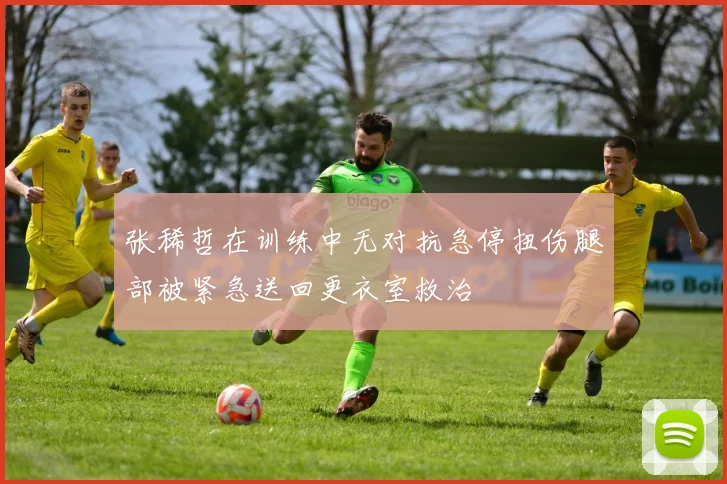 张稀哲在训练中无对抗急停扭伤腿部被紧急送回更衣室救治