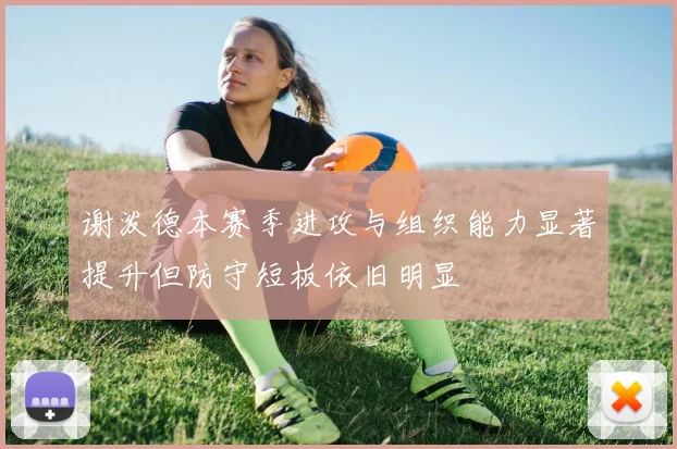 谢泼德本赛季进攻与组织能力显著提升但防守短板依旧明显