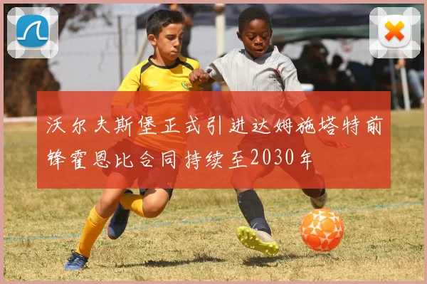 沃尔夫斯堡正式引进达姆施塔特前锋霍恩比合同持续至2030年
